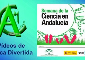 Física Divertida: Rueda que no rueda.Vídeos de Física Divertida para | Recurso educativo 728063