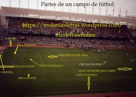 Partes de un campo de fútbol. | Recurso educativo 729454