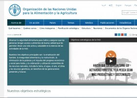 Organización das Nacións Unidas para a Alimentación | Recurso educativo 732020