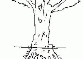 El tallo de las plantas | Recurso educativo 734386