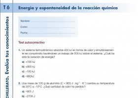 Evalúa tus conocimientos. 6. Energía y espontaneidad de la reacción química | Recurso educativo 724602