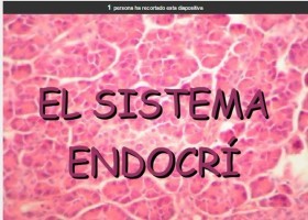 EL SISTEMA ENDOCRÍ | Recurso educativo 736766