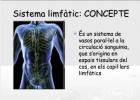 Sistema limfàtic | Recurso educativo 740790