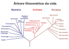 Sistema de tres dominios - Wikipedia, a enciclopedia libre | Recurso educativo 740839