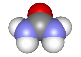 Urea | Recurso educativo 741878