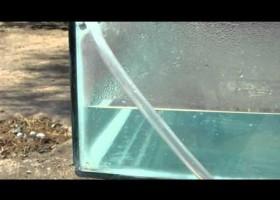 DESTILADOR SOLAR PARA AGUA POTABLE PARA CONSUMO HUMANO | Recurso educativo 744676