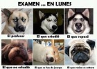 Los 7 mejores memes sobre educación | Recurso educativo 744879