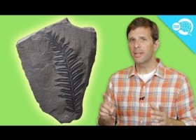 How Carbon Dating Works | Recurso educativo 750622