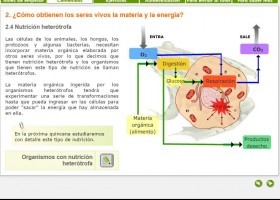 Nutrición heterótrofa | Recurso educativo 752705