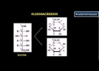 Oligosacáridos | Recurso educativo 755275