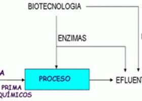 Uso de enzimas en la industria textil | Recurso educativo 755465