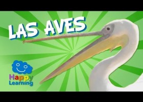 Las aves | Recurso educativo 765998