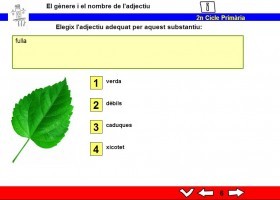 El gènere i el nombre de l'adjectiu | Recurso educativo 771628