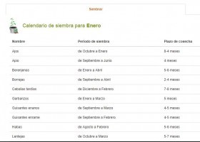 Calendario de siembra y cosecha | Recurso educativo 773741
