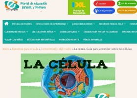 La célula. Guía básica para aprender y repasar sobre las células | Recurso educativo 773967