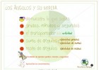 Els angles i la seva mesura | Recurso educativo 775576