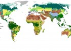 Biomes Terrestres | Recurso educativo 776785