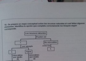 Optimización en sistemas naturales y sociales.pdf | Recurso educativo 780679