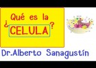 Célula humana: introducción | Citología-Biología celular | Recurso educativo 783643