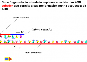 71.2 KB file on MEGA | Recurso educativo 786020