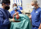 Transplantament d'un cor de porc a un home | Recurso educativo 787011