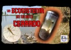 Un ecosistema en un bote | Recurso educativo 787412