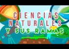 ¿CUÁLES SON LAS PRINCIPALES CIENCIAS NATURALES? Y QUE ESTUDIAN. ( ANIMADO ) | Recurso educativo 787623