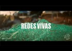 Redes Vivas - Do fondo do mar ao centro do campo | Recurso educativo 7901245