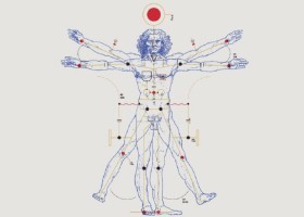 O ser humano e a máquina | Recurso educativo 7902208