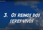 Os reinos dos seres vivos | Recurso educativo 787548